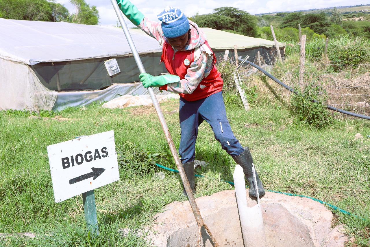 Biogas Production