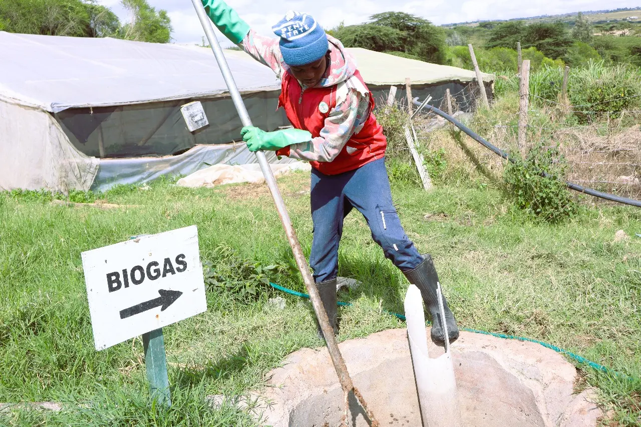 Biogas Production